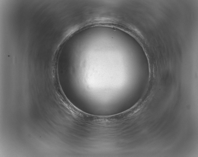 X0000071351405200607071712