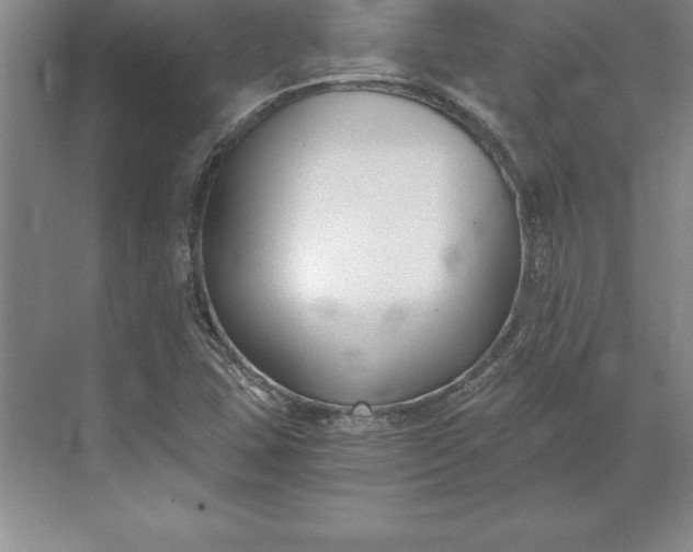 X0000071351407200607071712