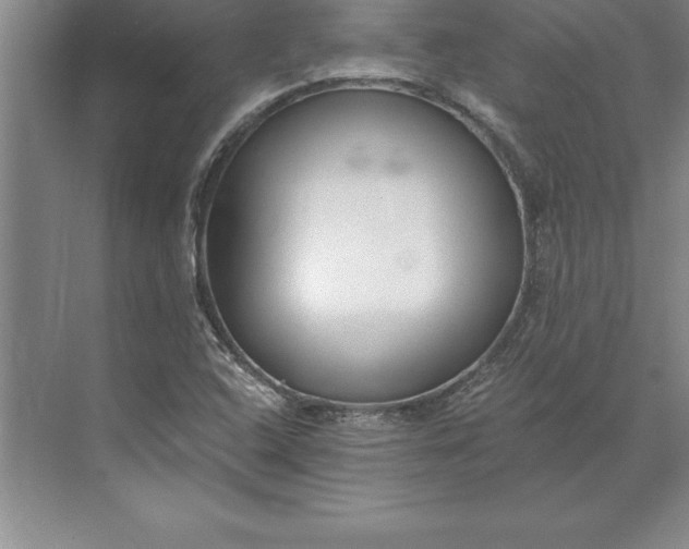 X0000071351408200607071712