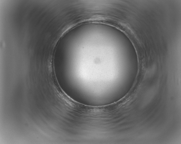 X0000071351409200607071712