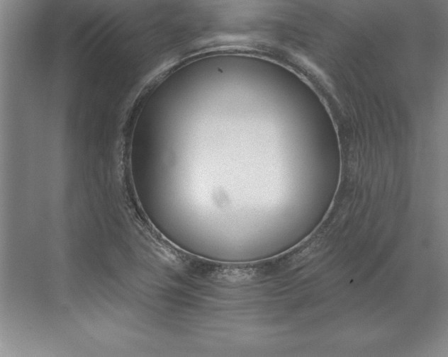 X0000071351411200607071712