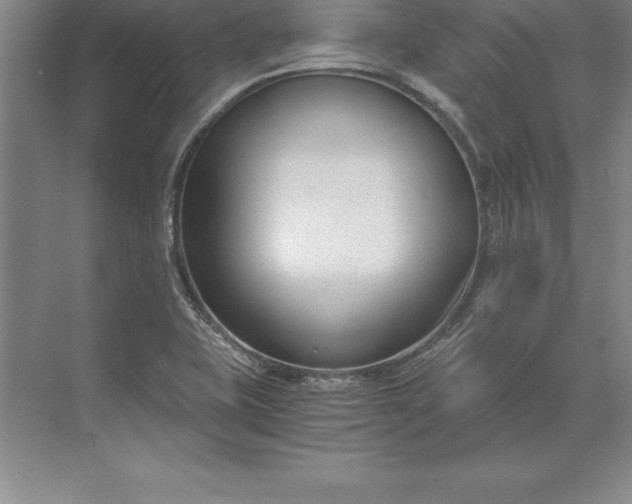 X0000071351415200607071712