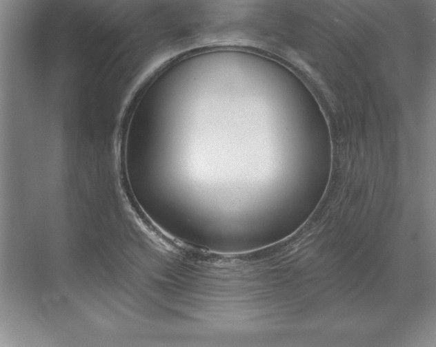 X0000071351416200607071712