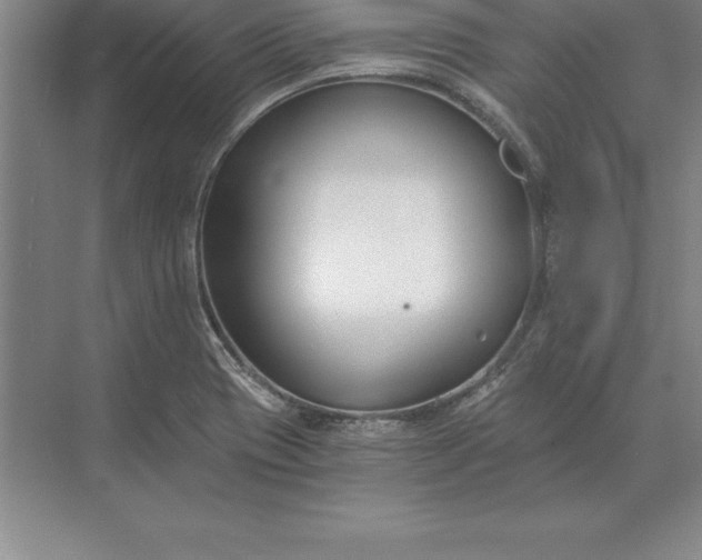 X0000071351417200607071712