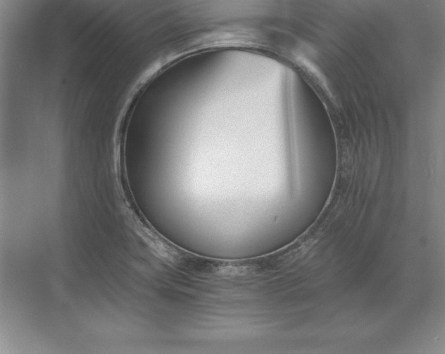 X0000071351419200607071712