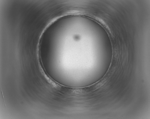 X0000071351421200607071712