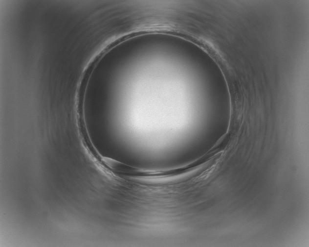 X0000071351422200607071712