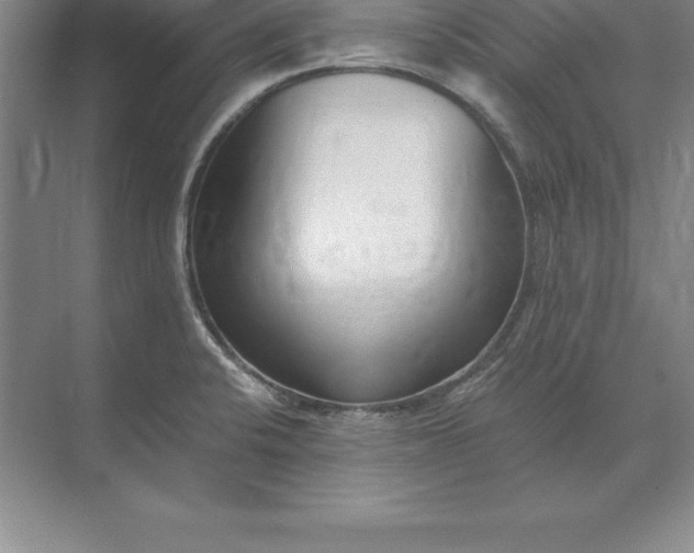 X0000071351424200607071712