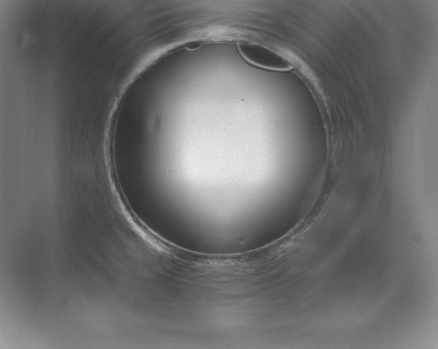 X0000071351429200607071712