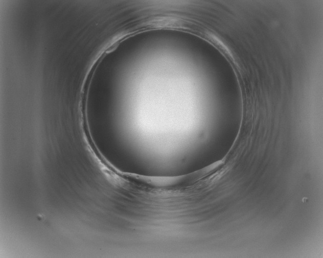 X0000071351434200607071712