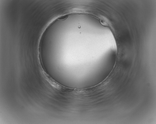 X0000071351435200607071712