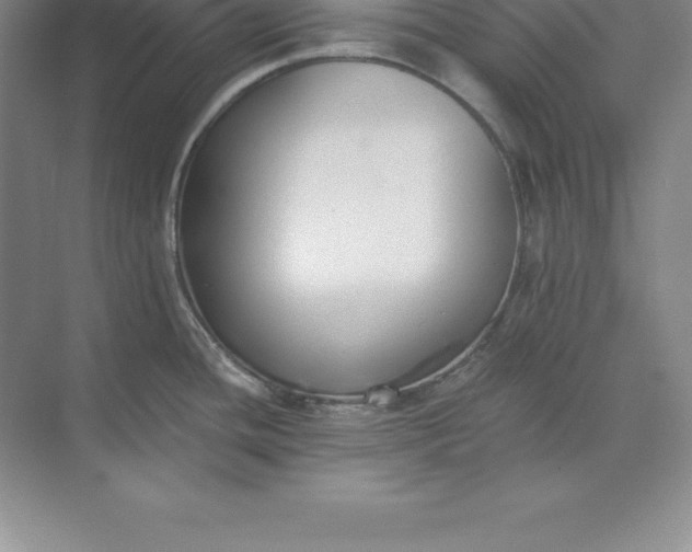 X0000071351436200607071712