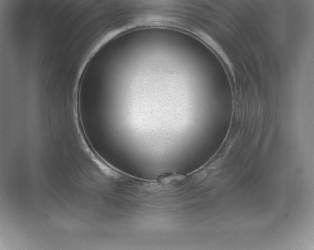 X0000071351437200607071712