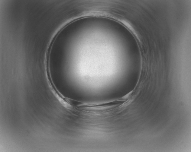 X0000071351438200607071712