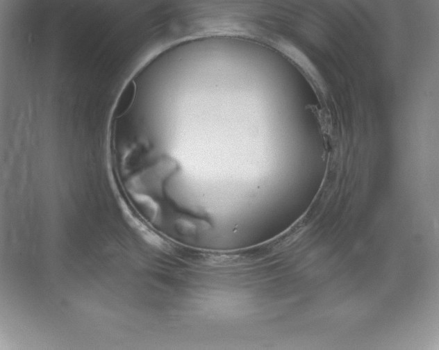 X0000071351439200607071712