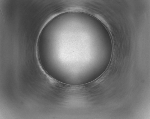 X0000071351440200607071712