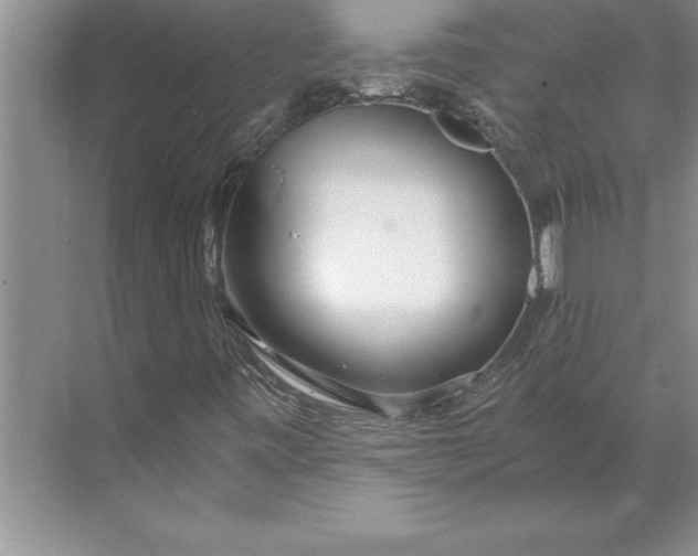 X0000071351443200607071712