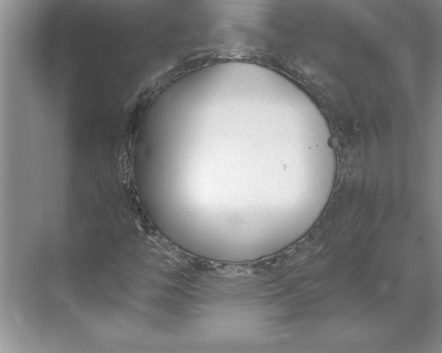 X0000071351446200607071712