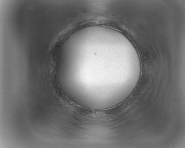 X0000071351447200607071712