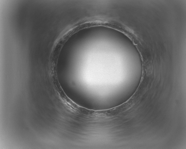 X0000071351448200607071712