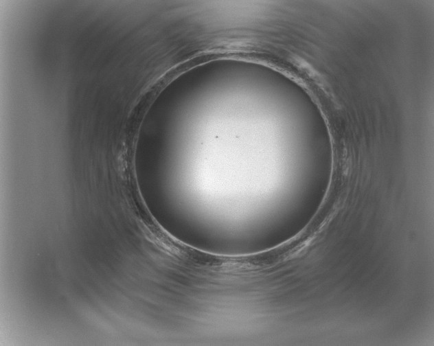 X0000071351449200607071712