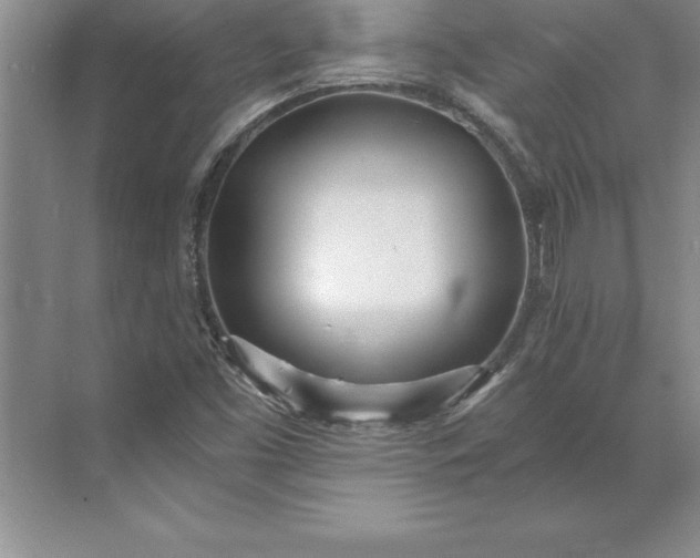 X0000071351453200607071711