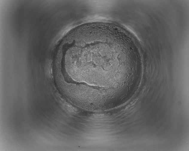 X0000071351455200607071711