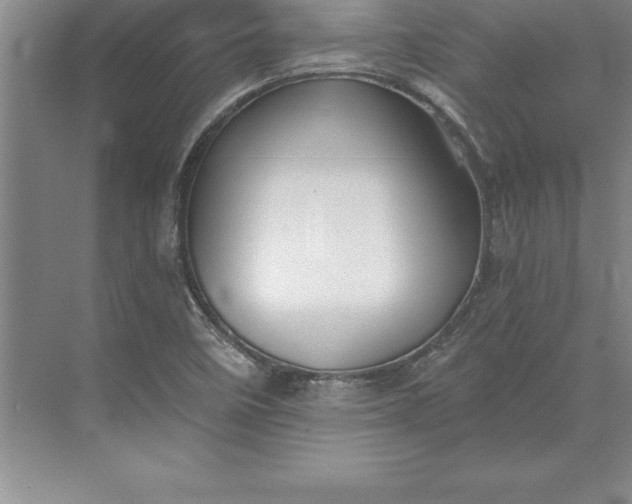 X0000071351458200607071711