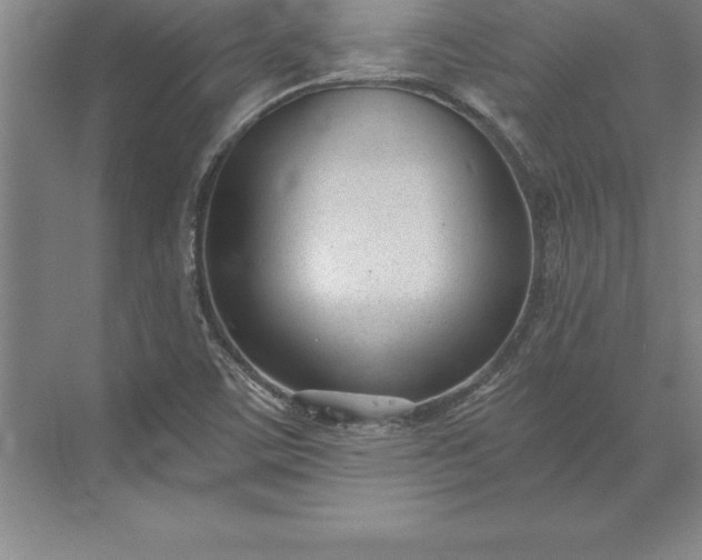 X0000071351459200607071711