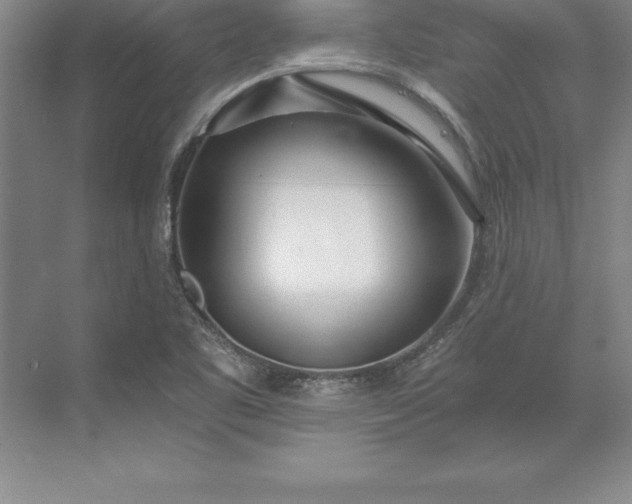 X0000071351461200607071711