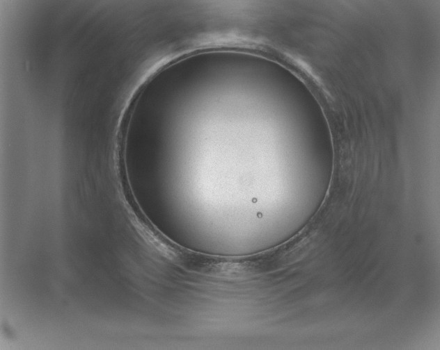 X0000071351463200607071711