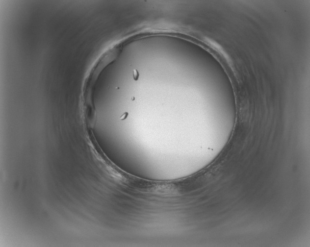 X0000071351464200607071711