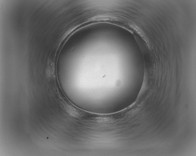 X0000071351465200607071711