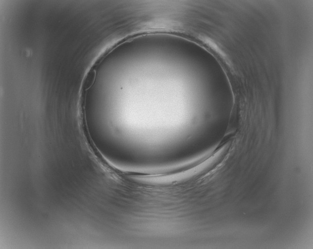 X0000071351469200607071711