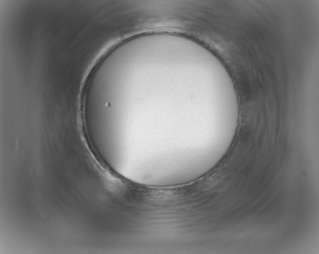 X0000071351470200607071711