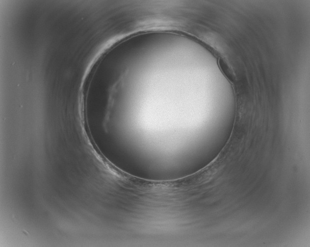 X0000071351472200607071711