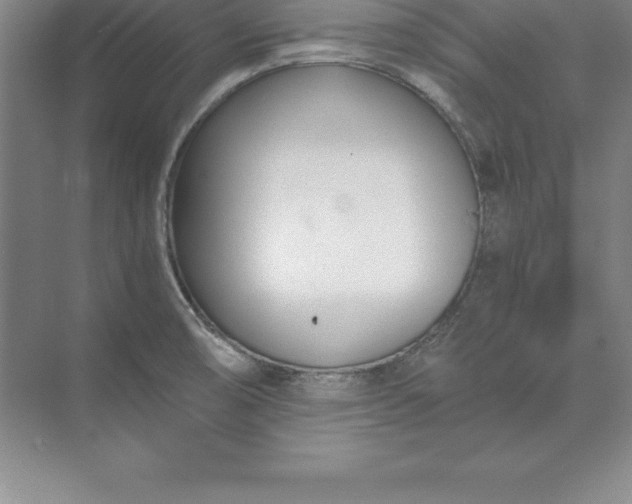 X0000071351474200607071711