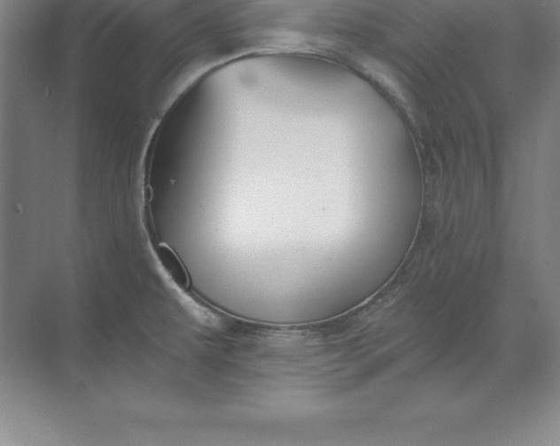 X0000071351479200607071711