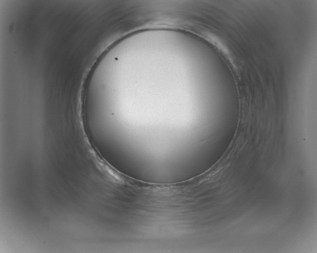 X0000071351480200607071711