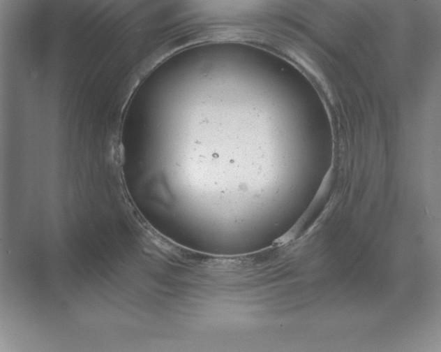 X0000071351481200607071711