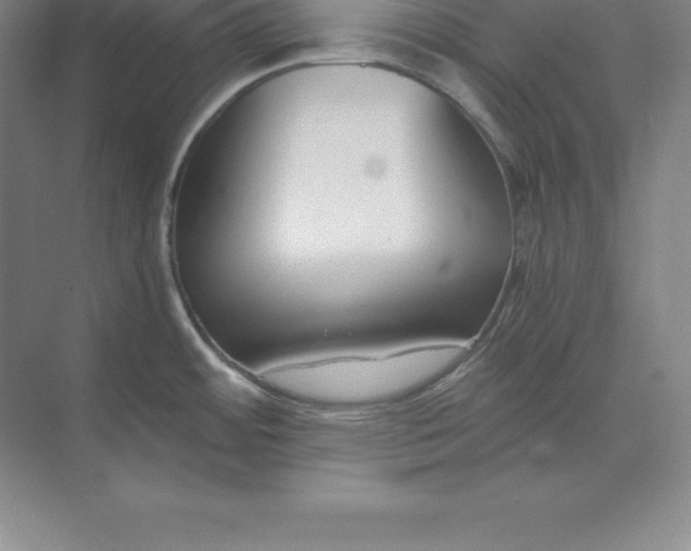 X0000071351484200607071711