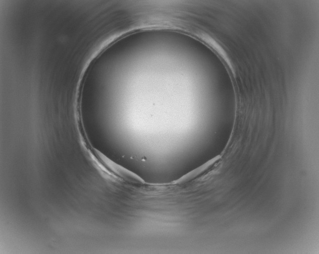 X0000071351485200607071711