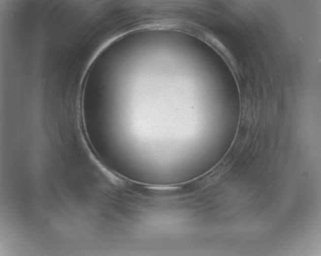 X0000071351487200607071711