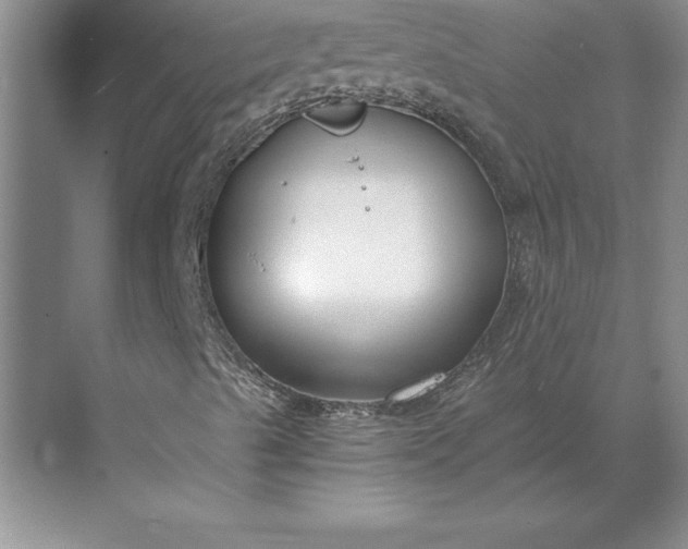 X0000071351489200607071710