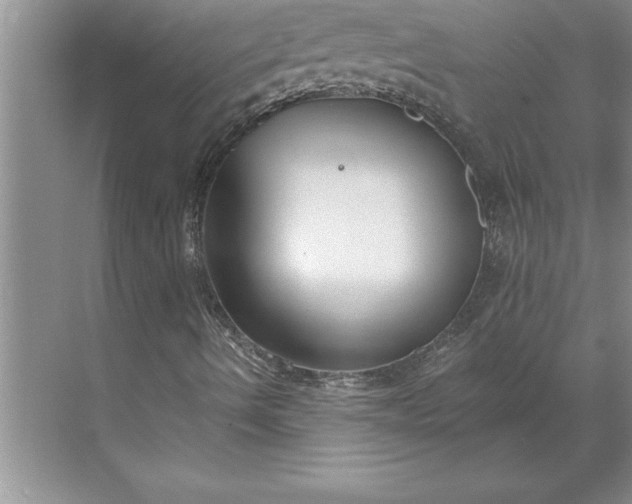 X0000071351490200607071710