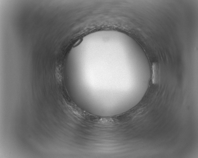 X0000071351491200607071710