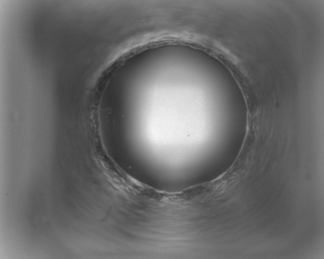 X0000071351496200607071710