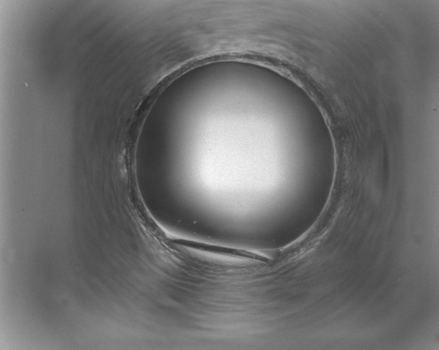 X0000071351497200607071710