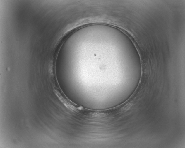 X0000071351499200607071710