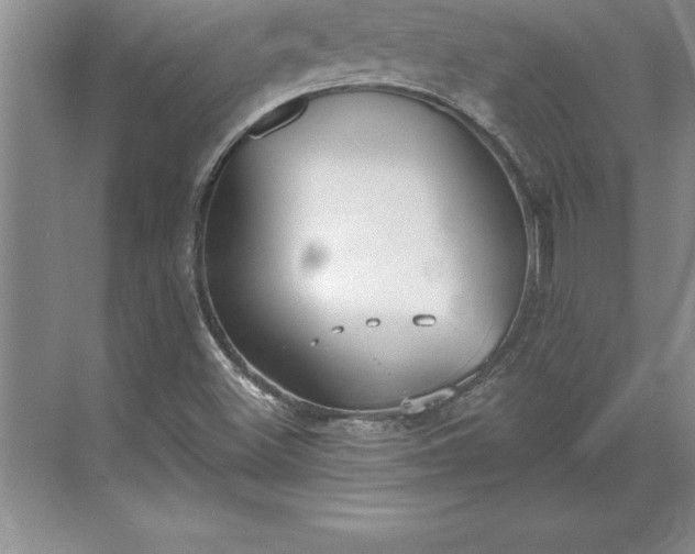 X0000071351500200607071710